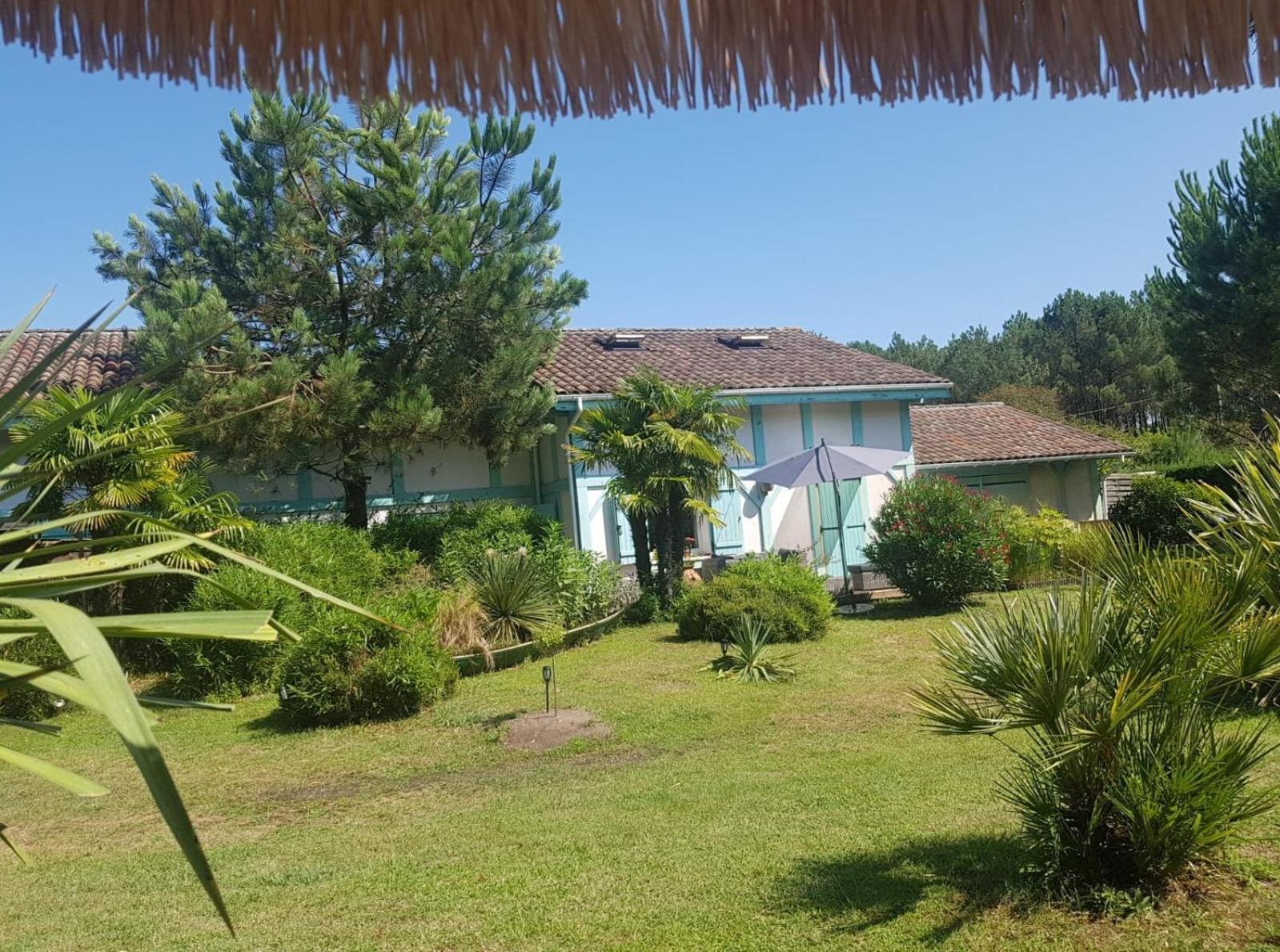 Le Mas Des Landes Vielle-Saint-Girons Ngoại thất bức ảnh
